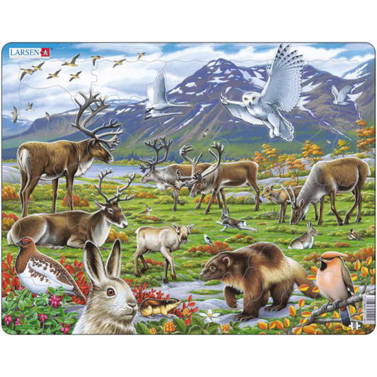 Puzzle Larsen - Die Tiere Lapplands, 50 piese (48417)